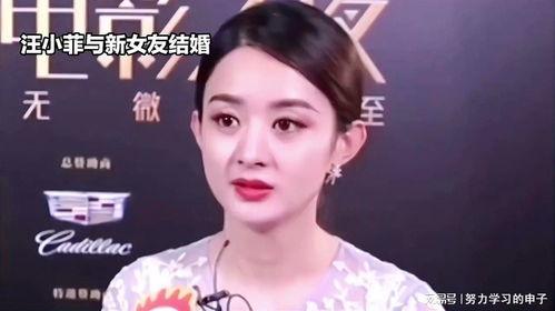 娱乐八卦吃瓜赵丽颖小说免费阅读,揭秘明星背后的故事,免费畅读 第1张 娱乐八卦吃瓜赵丽颖小说免费阅读,揭秘明星背后的故事,免费畅读 第1张