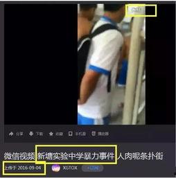 泰安胖哥爆料事件视频全集,揭秘背后真相与争议